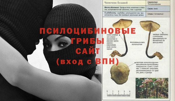 мяу мяу мука Навашино
