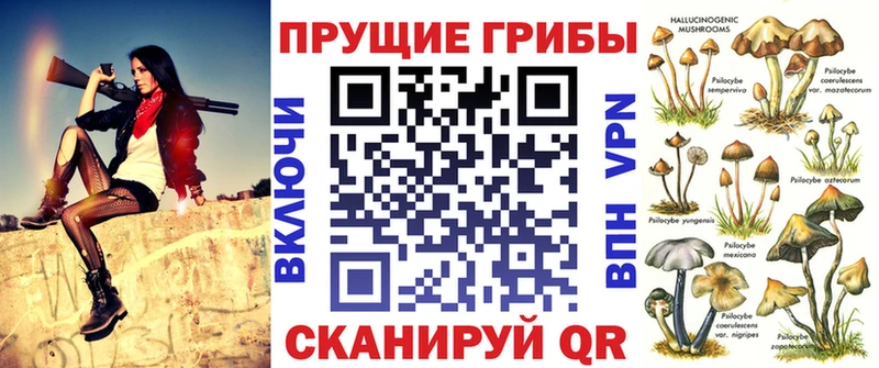 Купить где  Зубцов  Галлюциногенные грибы Psilocybine cubensis 